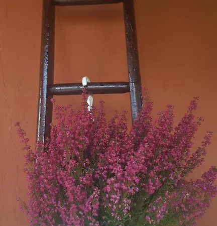 Apartment Al Bricco