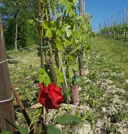 Appartamento Al Bricco